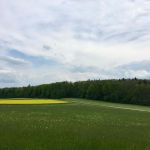 18.05.2017 / 2nd attempt: First flight! "Paragliding for S4K" has officially started :)