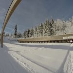 DCIM100GOPRO