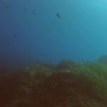 Cirkewwa (2) / 09.10.2019 #GoPro #Malta #PADI Cirkewwa (2) / 09.10.2019 #GoPro #Malta #PADI