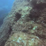 DCIM100GOPROGOPR0248.JPG
