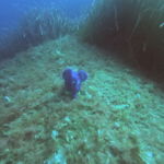 DCIM100GOPROGOPR0344.JPG