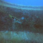 DCIM100GOPROGOPR0387.JPG