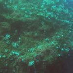 Cirkewwa (9) / 11.10.2019 #GoPro #Malta #PADI Cirkewwa (9) / 11.10.2019 #GoPro #Malta #PADI