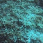 Cirkewwa (6) / 11.10.2019 #GoPro #Malta #PADI Cirkewwa (6) / 11.10.2019 #GoPro #Malta #PADI