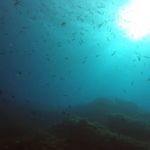 Cirkewwa (3) / 09.10.2019 #GoPro #Malta #PADI Cirkewwa (3) / 09.10.2019 #GoPro #Malta #PADI