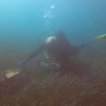 Dive against Debris (2) / 14.10.2019 #GoPro #Malta #PADI #ProjectAware Dive against Debris (2) / 14.10.2019 #GoPro #Malta #PADI #ProjectAware